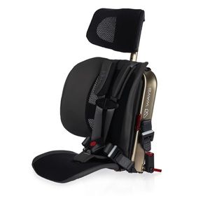 Wayne Pico car seat.